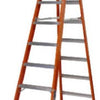 12 ft. Step Ladder