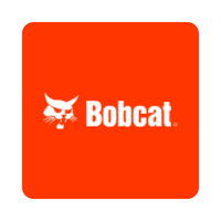 Bobcat